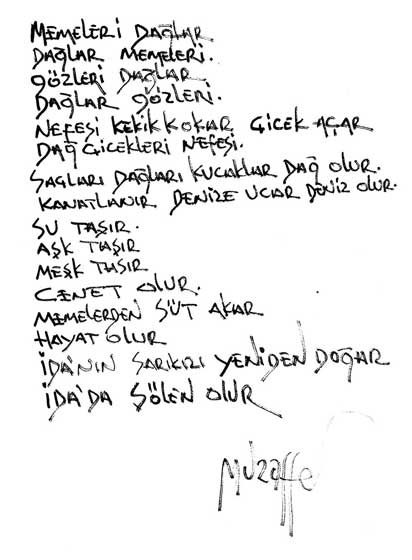 ŞİİRLER